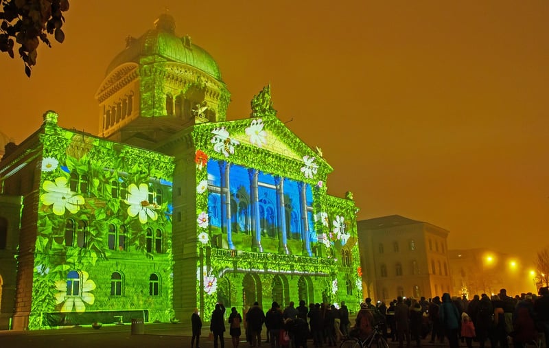 Projection Mapping